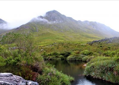 Cape Country - Palmiet River Trail