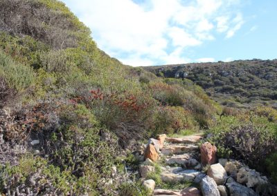 Cape of Good Hope - Buffelsfontein - Kanonkop Circuit