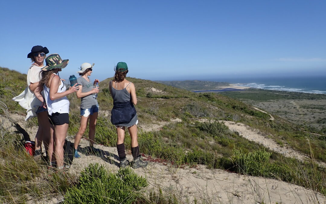 Garden Route Trail